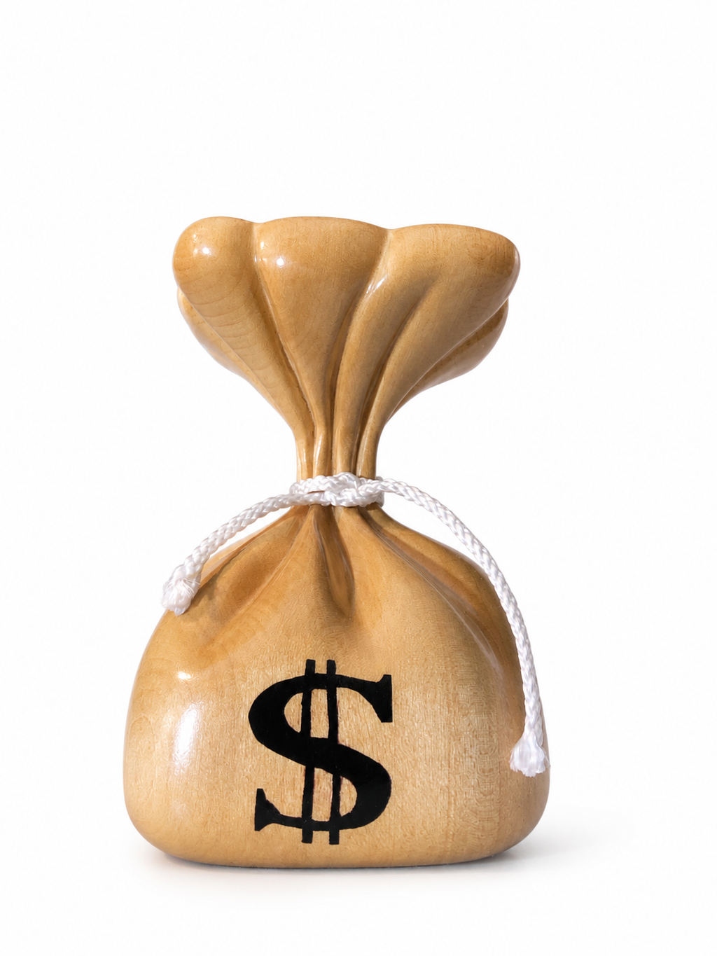 Medium $Bag
